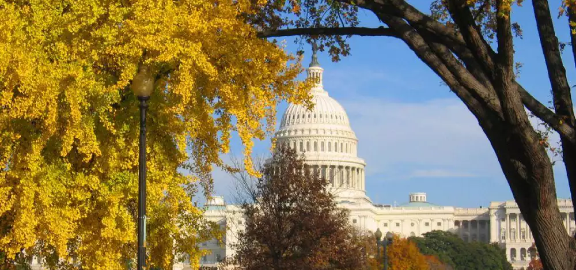 Capitol in the fall