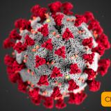 Image of the Coronavirus